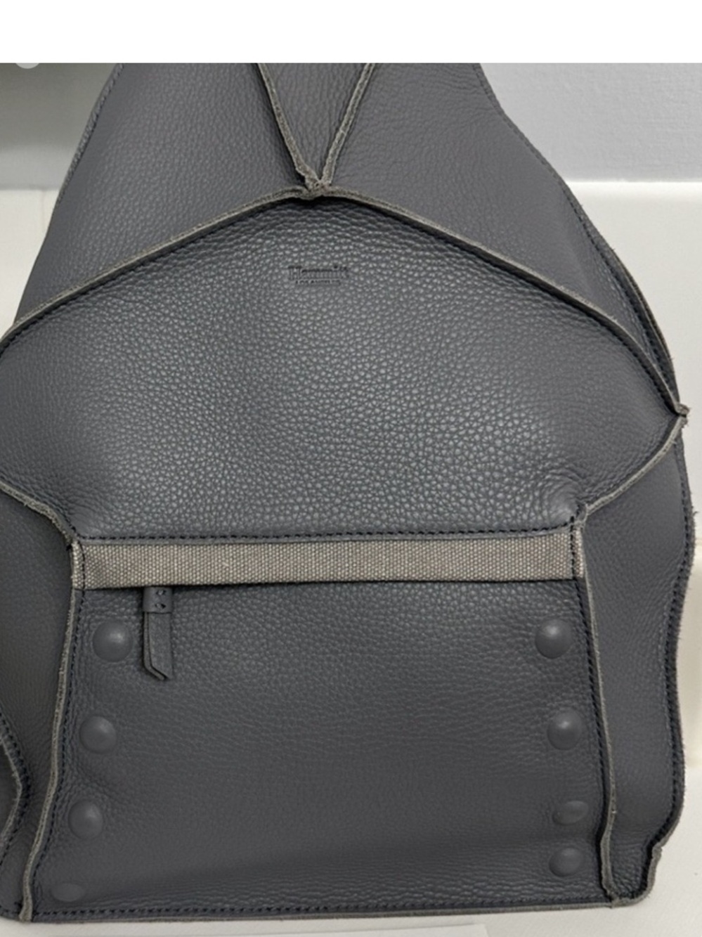 Hammitt Backpack, good used condition.  Beautiful.  Highly sought after